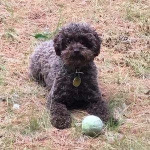 Meet your Posher, Katrina